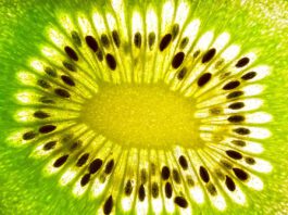 Zespri Kiwi: Reise ins Salzkammergut gewinnen