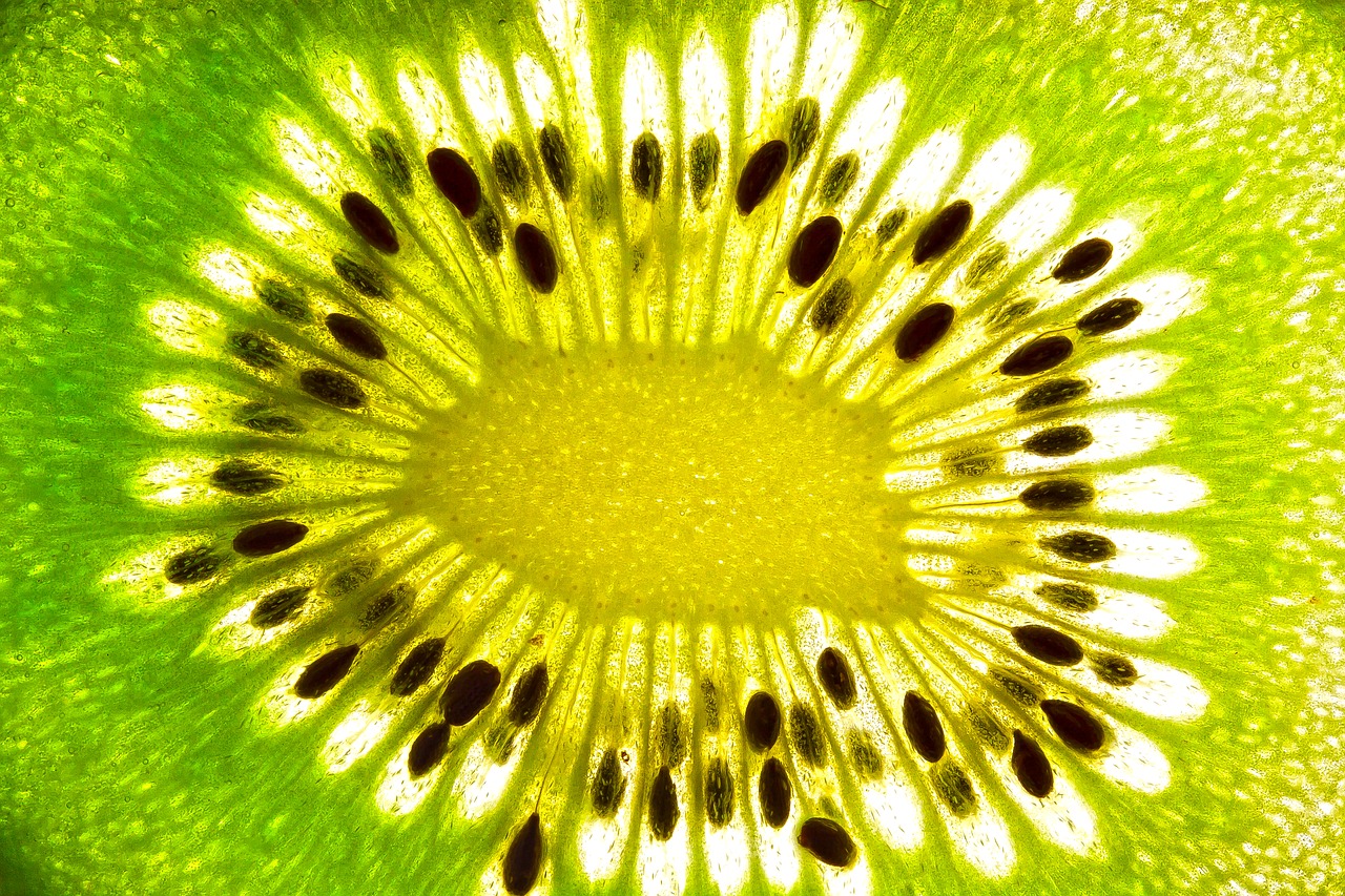 Zespri Kiwi: Traumreise gewinnen